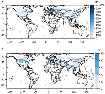 Global Potato Yields Increase Under Climate Change With Adaptation and CO2 Fertilisation